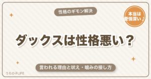 ミニチュアダックスは性格悪い？言われる理由と接し方