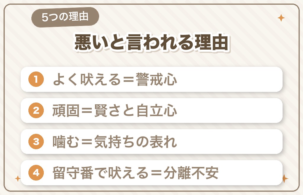 ミニチュアダックスが「性格悪い」と言われる5つの理由