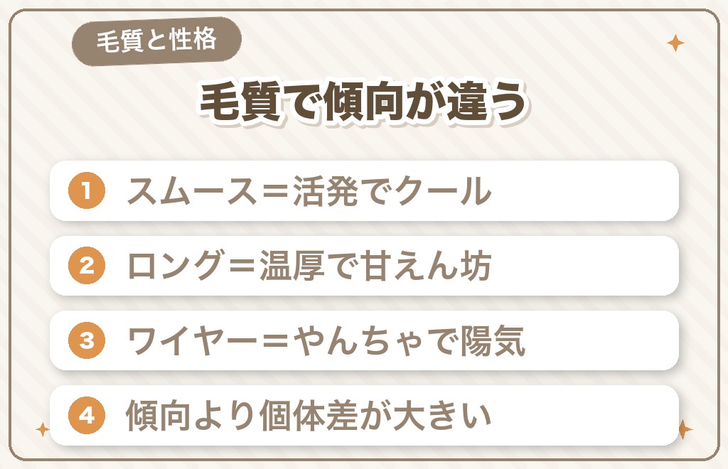 ミニチュアダックスの性格は毛質で違う?