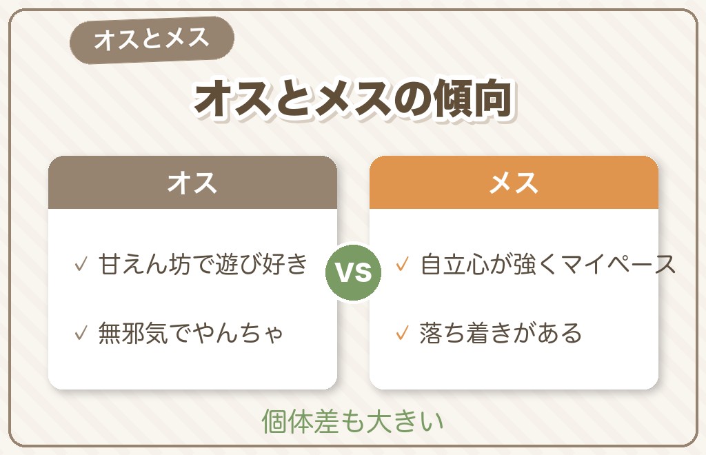 ミニチュアダックスの性格はオス・メスで違う?