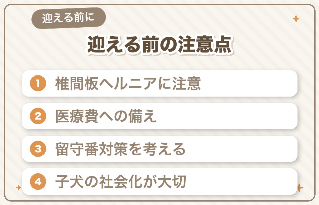 ミニチュアダックスを迎える前に知っておきたい注意点