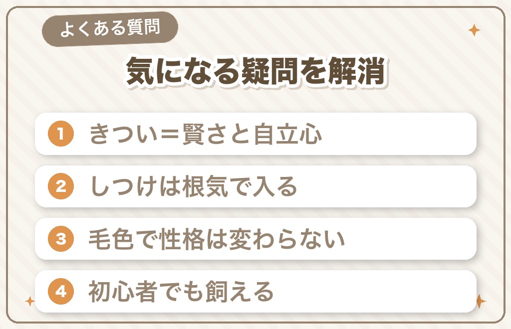 ミニチュアダックスの性格に関するQ&A