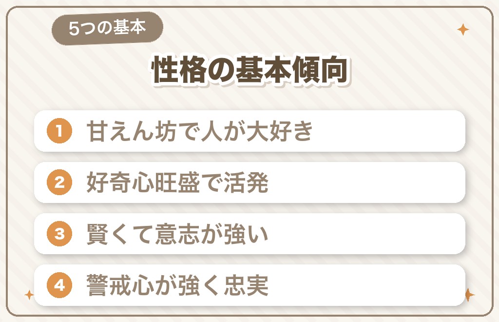 ミニチュアダックスの性格は？まず知りたい5つの基本傾向