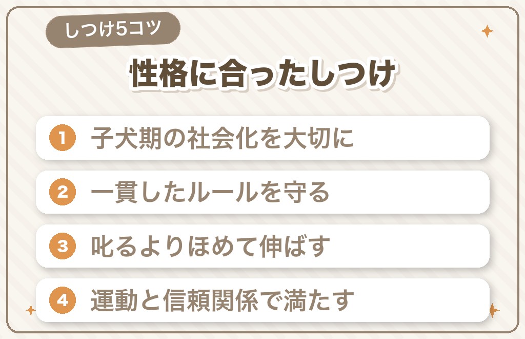ミニチュアダックスの性格に合ったしつけ・接し方5つのコツ