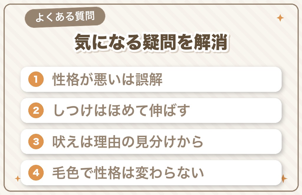 ミニチュアダックスの性格に関するよくある質問（Q&A）