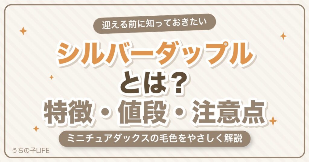 ミニチュアダックスのシルバーダップルとは？特徴・値段・注意点