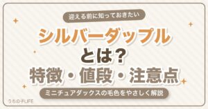 ミニチュアダックスのシルバーダップルとは？特徴・値段・注意点
