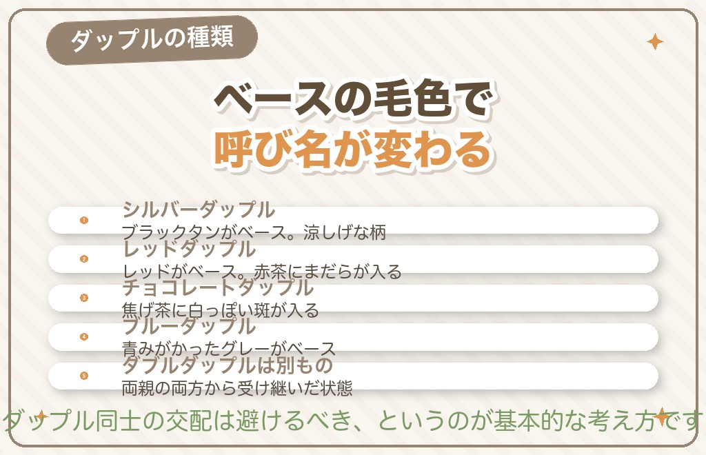 ダップルの毛色の種類とシルバーダップルの違い