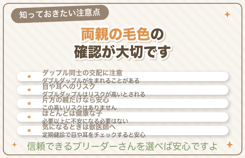 シルバーダップルで知っておきたい健康の注意点
