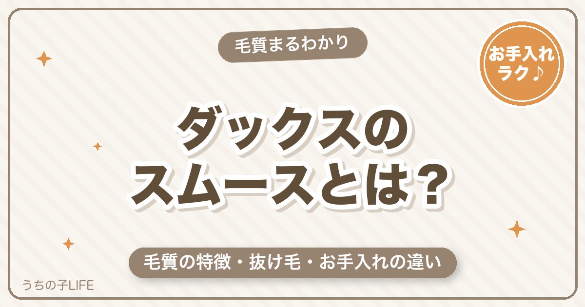 ミニチュアダックスのスムースとは？毛質の特徴・抜け毛とお手入れ