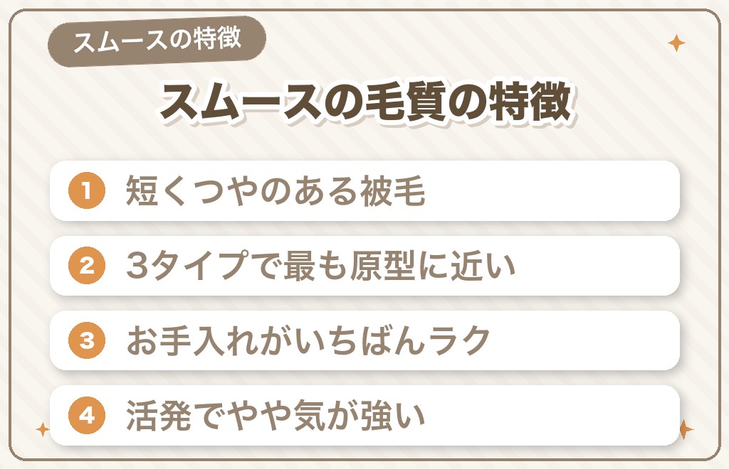 ミニチュアダックスのスムースとは？毛質の特徴