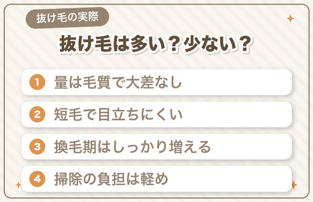 ミニチュアダックス（スムース）は抜け毛が多い？少ない？