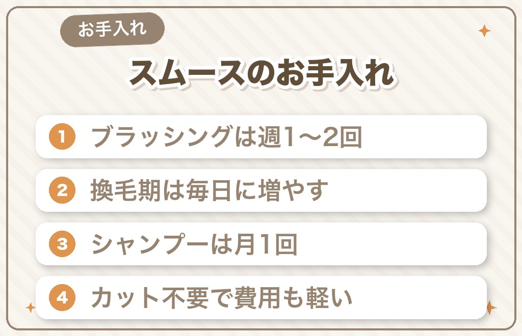 ミニチュアダックス（スムース）のお手入れ方法