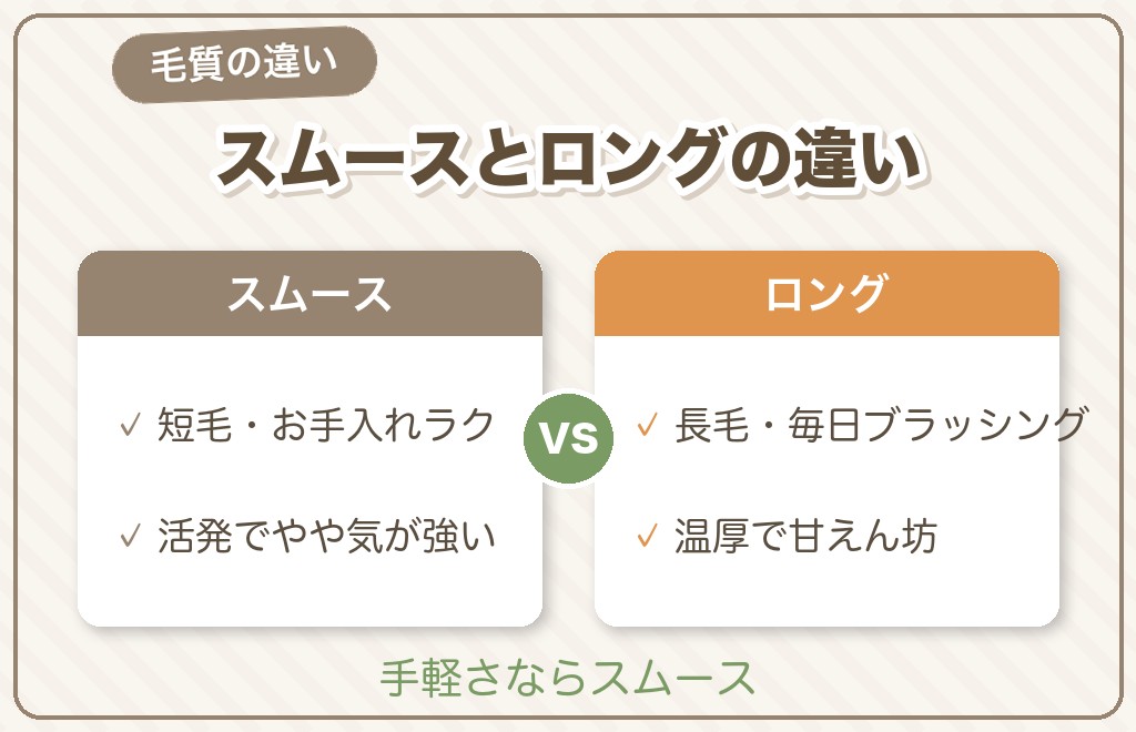 スムースとロング・ワイヤーの違い（比較表）