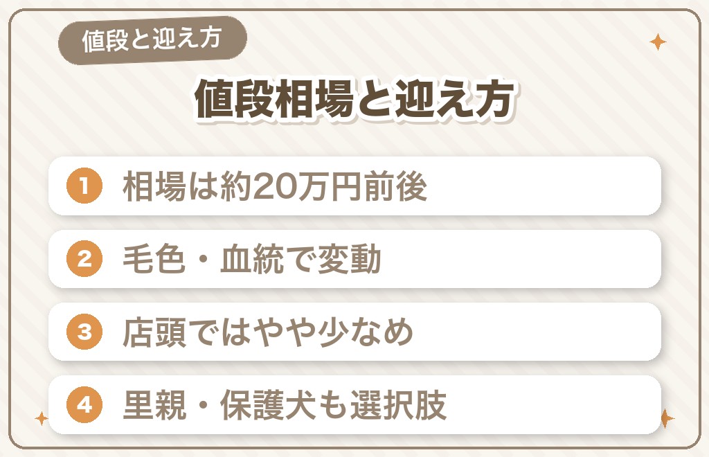 ミニチュアダックス（スムース）の値段相場と迎え方