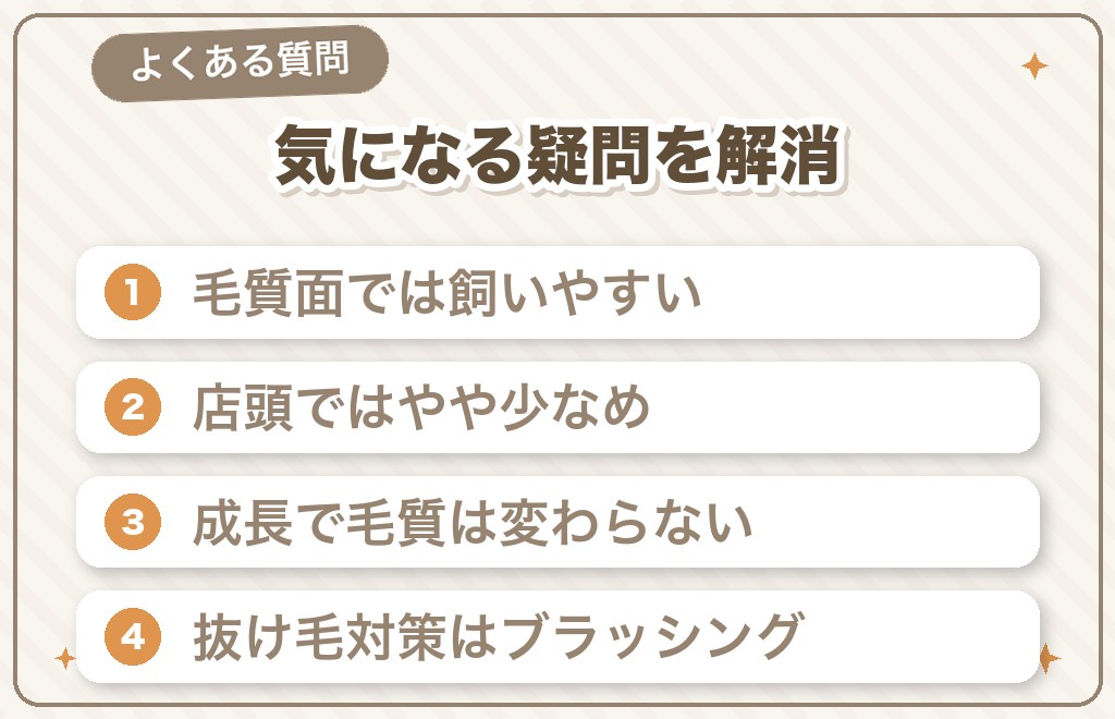 ミニチュアダックス（スムース）に関するQ&A