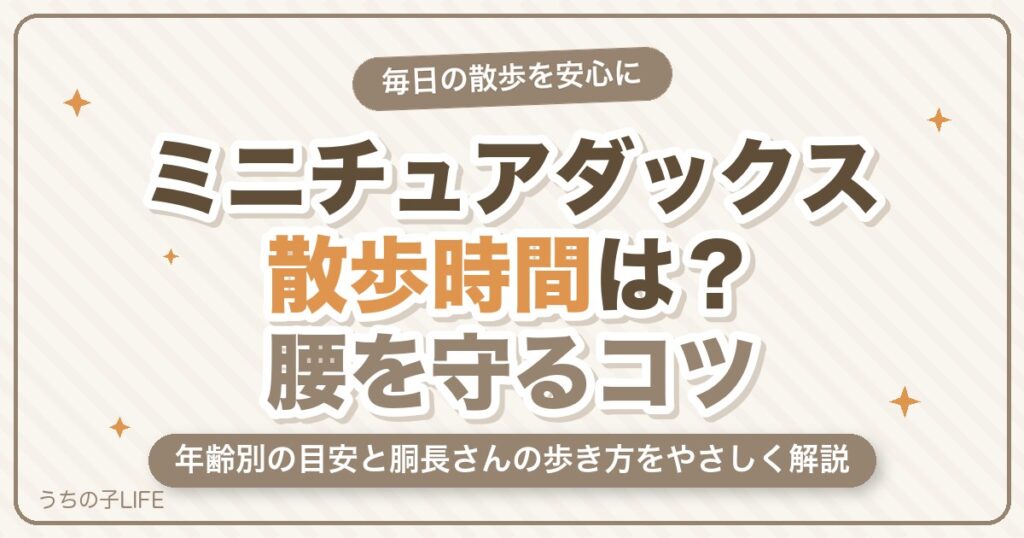 ミニチュアダックスの散歩時間は？年齢別の目安と腰を守るコツ