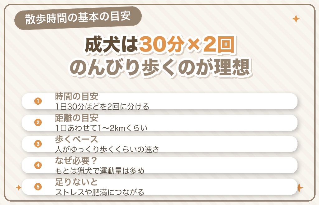 ミニチュアダックスの散歩時間はどのくらい?