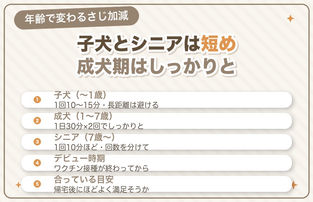 【年齢別】ミニチュアダックスの散歩時間の目安
