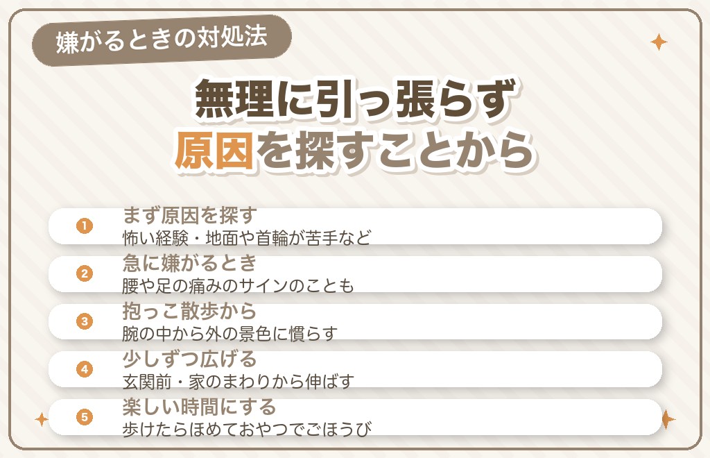 ミニチュアダックスが散歩を嫌がるときの対処法