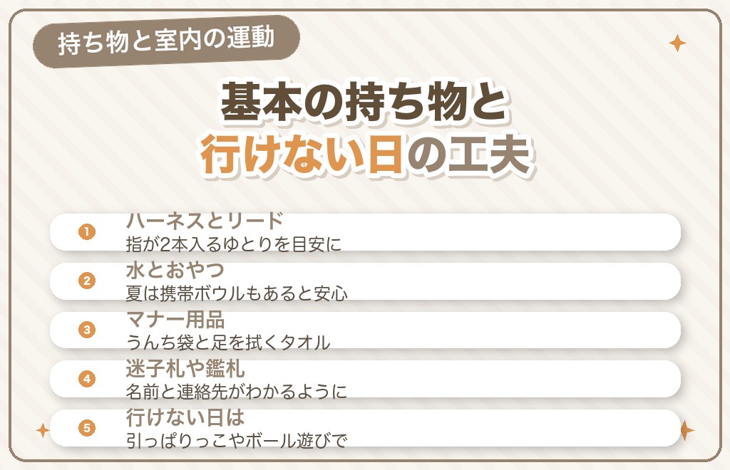 散歩に必要なアイテムと、行けない日の運動