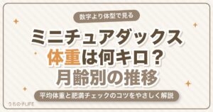 ミニチュアダックスの体重は何キロが標準？平均・月齢別の推移と肥満対策