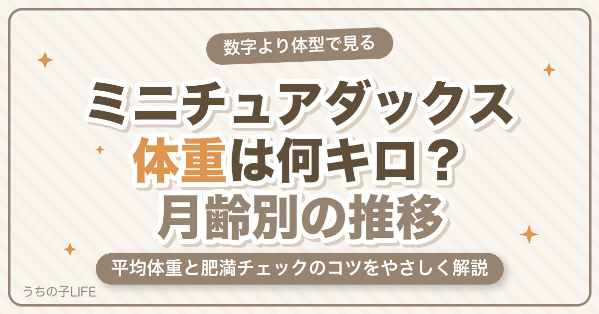 ミニチュアダックスの体重は何キロが標準?平均・月齢別の推移と肥満対策