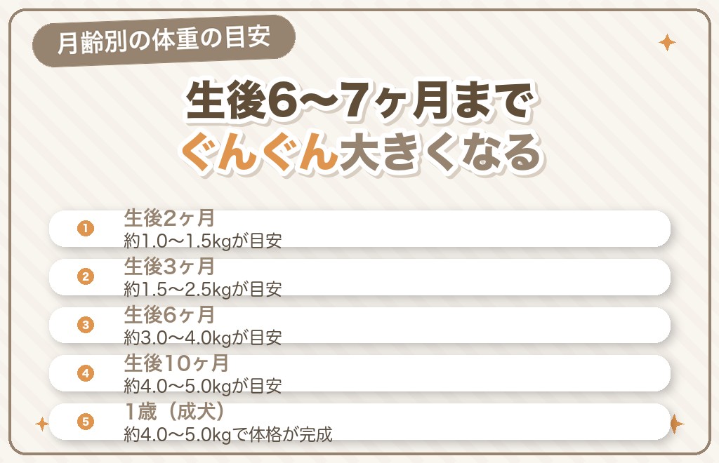 ミニチュアダックスの月齢別の体重推移