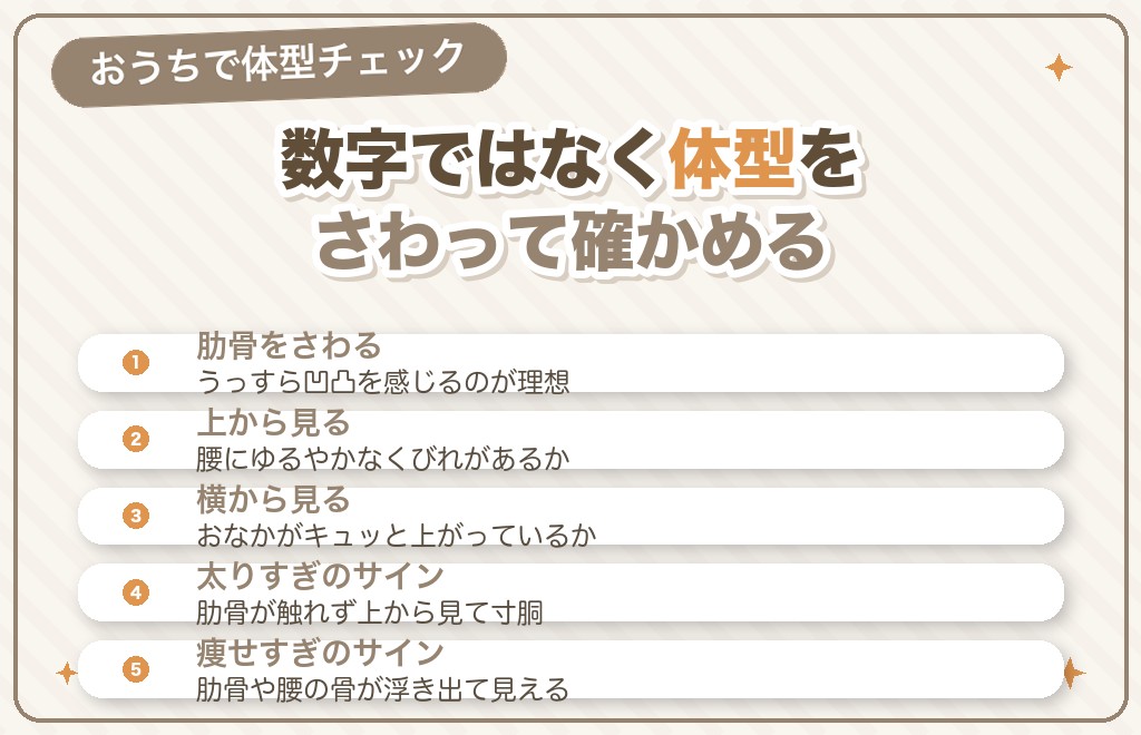 ミニチュアダックスの肥満・痩せすぎの見分け方