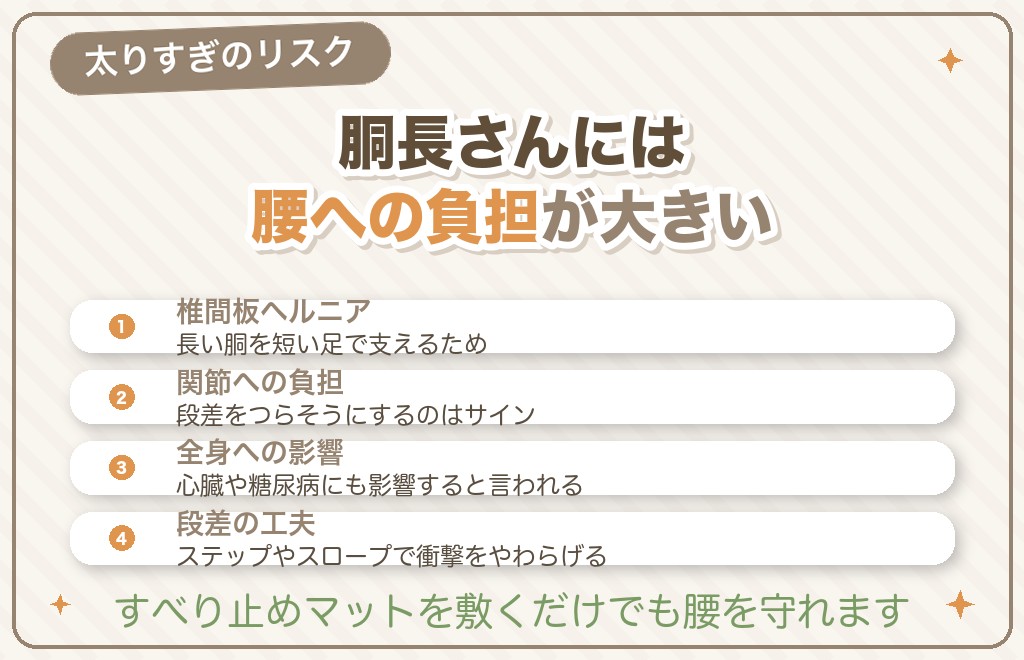 ミニチュアダックスの体重増加(肥満)が招くリスク
