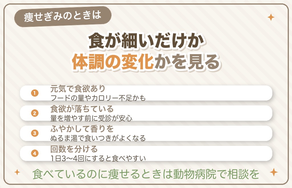 ミニチュアダックスが痩せすぎのときの対処法