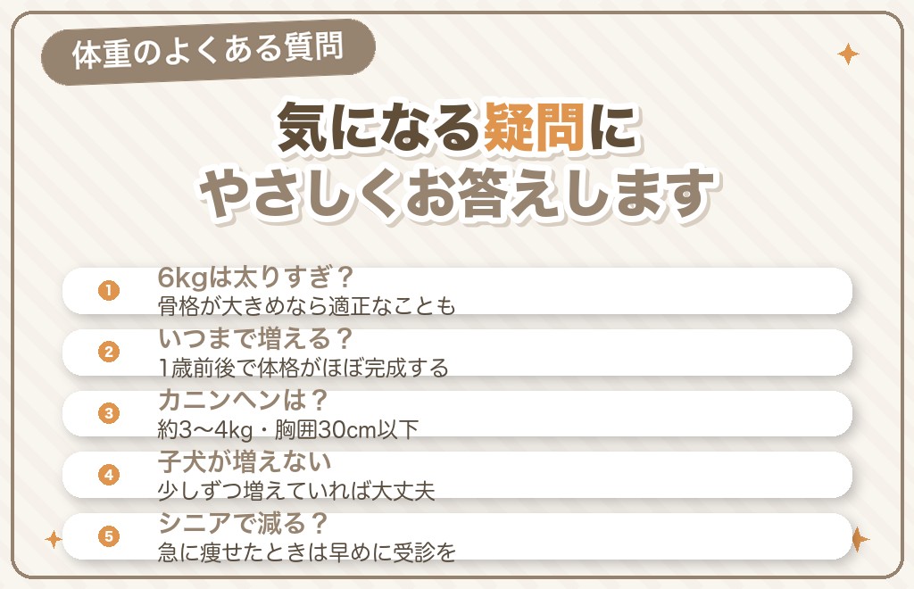 ミニチュアダックスの体重に関するQ&A
