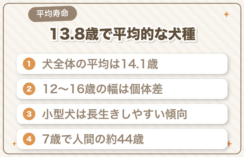 ポメラニアンの平均寿命は何歳？