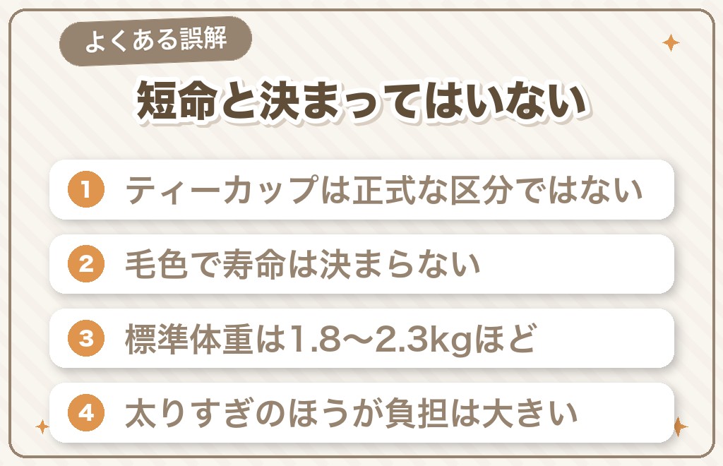 ティーカップサイズや毛色でポメラニアンの寿命は変わる？
