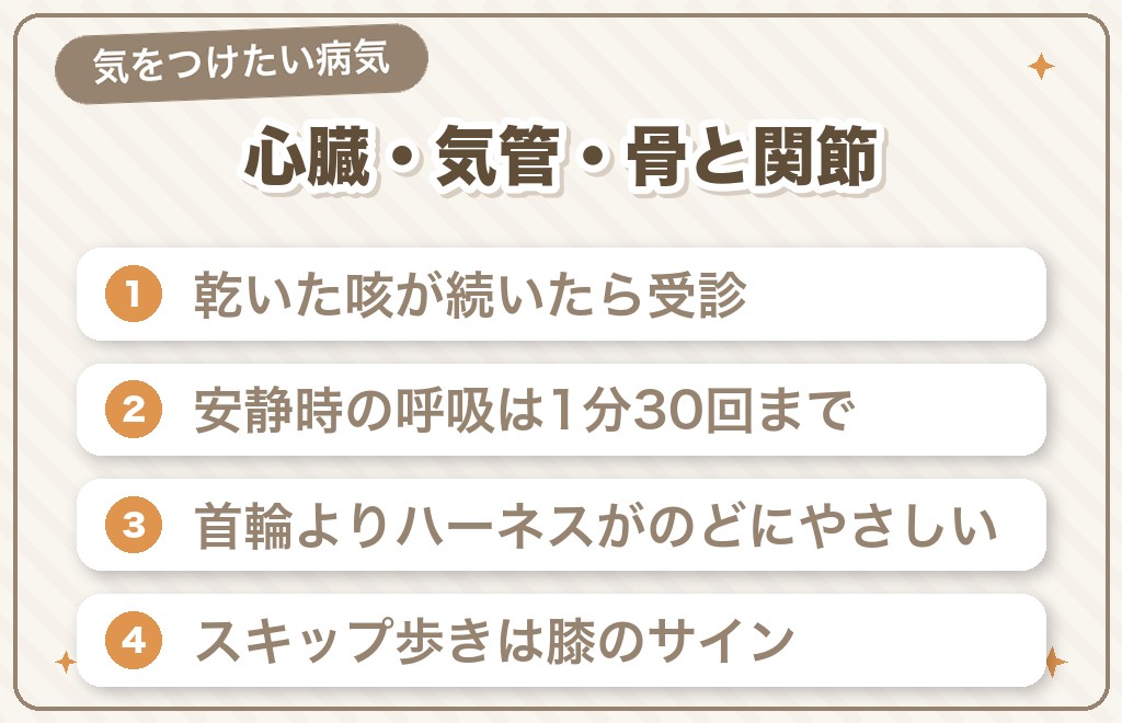 ポメラニアンの死因になりやすい病気