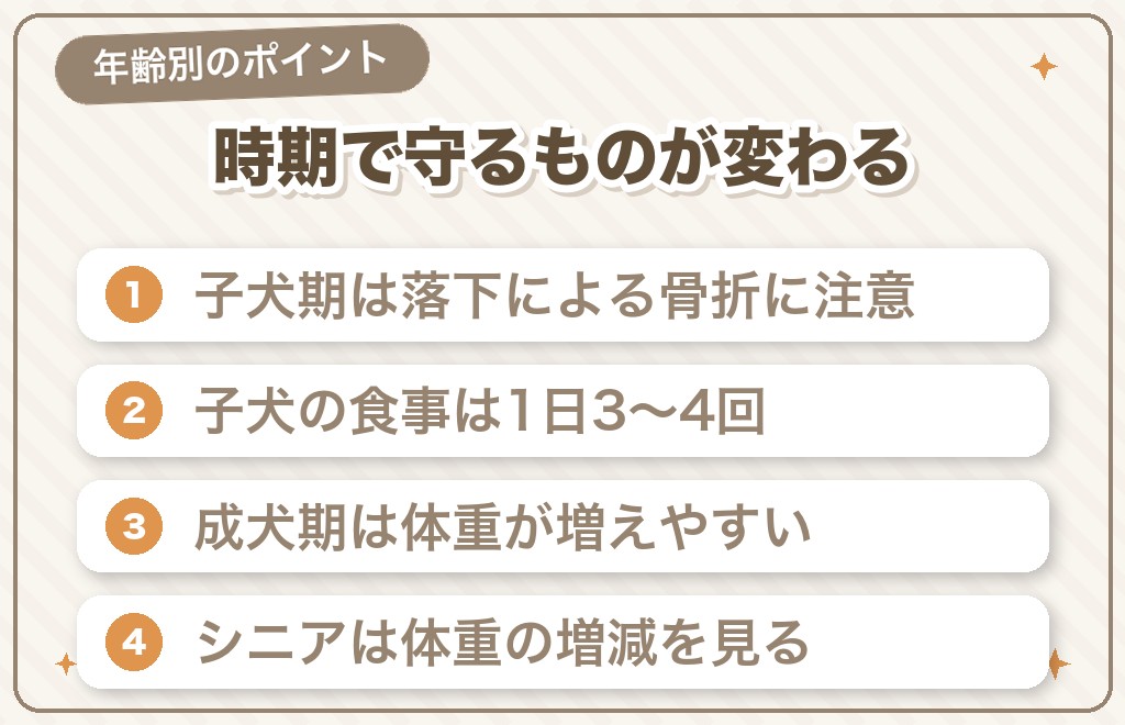 ポメラニアンのライフステージ別に気をつけたいこと