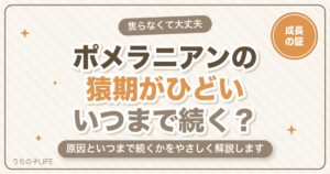 ポメラニアンの猿期がひどい!いつまで続く?原因と正しいケア方法