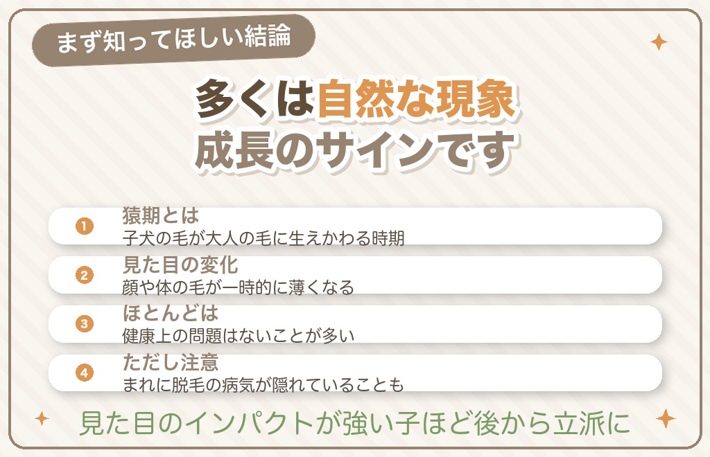 ポメラニアンの猿期がひどいのは異常？まず知ってほしい結論