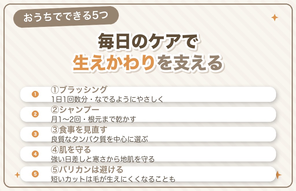 ポメラニアンの猿期を乗り切る5つのケア