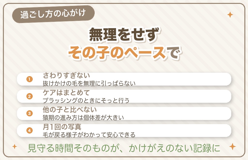 猿期のポメラニアンと過ごすときの心がけ