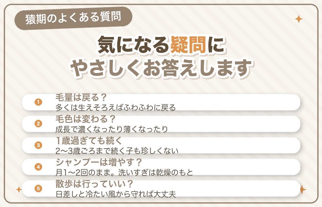 ポメラニアンの猿期に関するQ&A