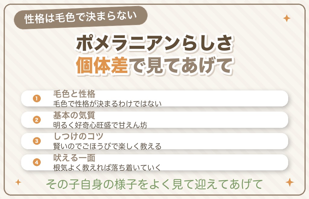 オレンジセーブルのポメラニアンの性格の傾向