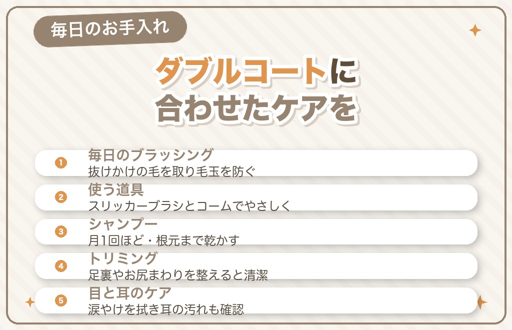 オレンジセーブルのお手入れのポイント