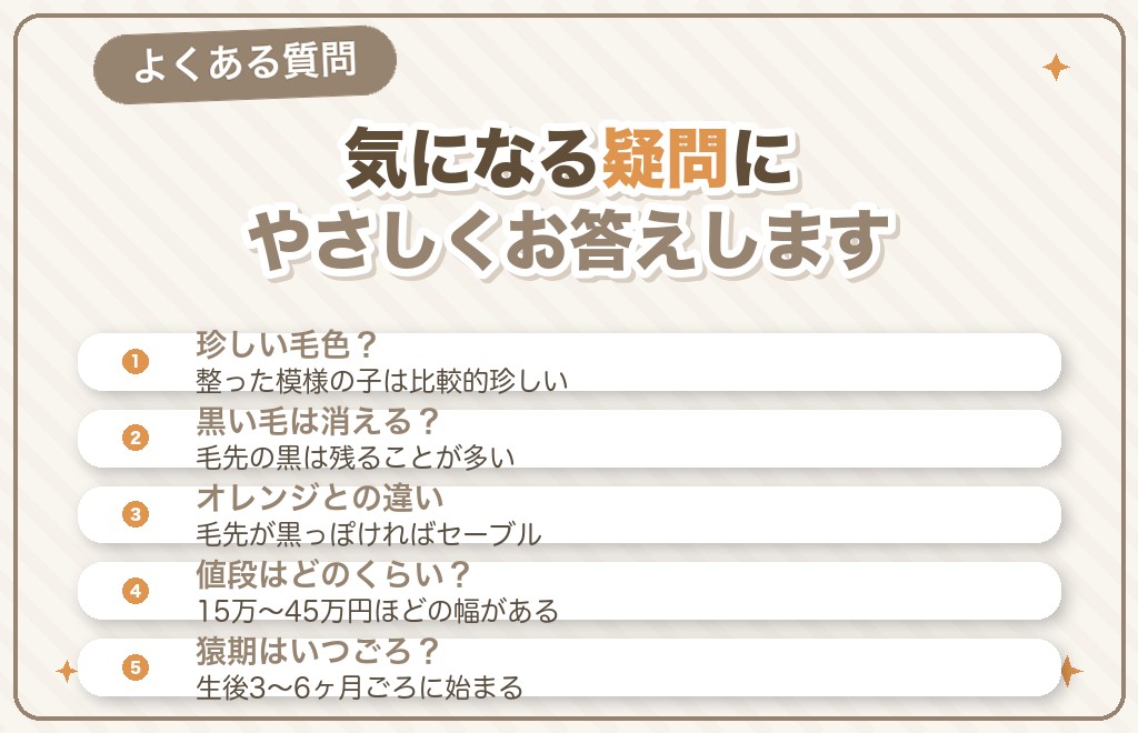 オレンジセーブルに関するQ&A