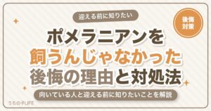 ポメラニアンを飼うんじゃなかった?後悔する理由と対処法・向いている人