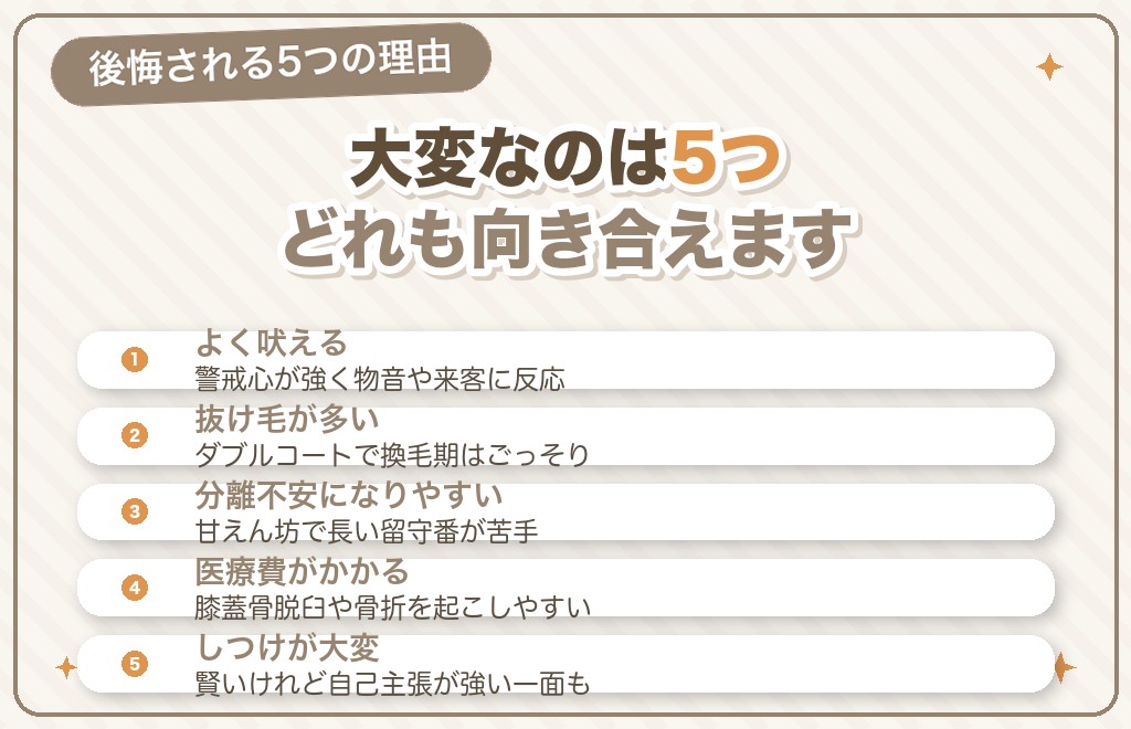 ポメラニアンを「飼うんじゃなかった」と言われる理由