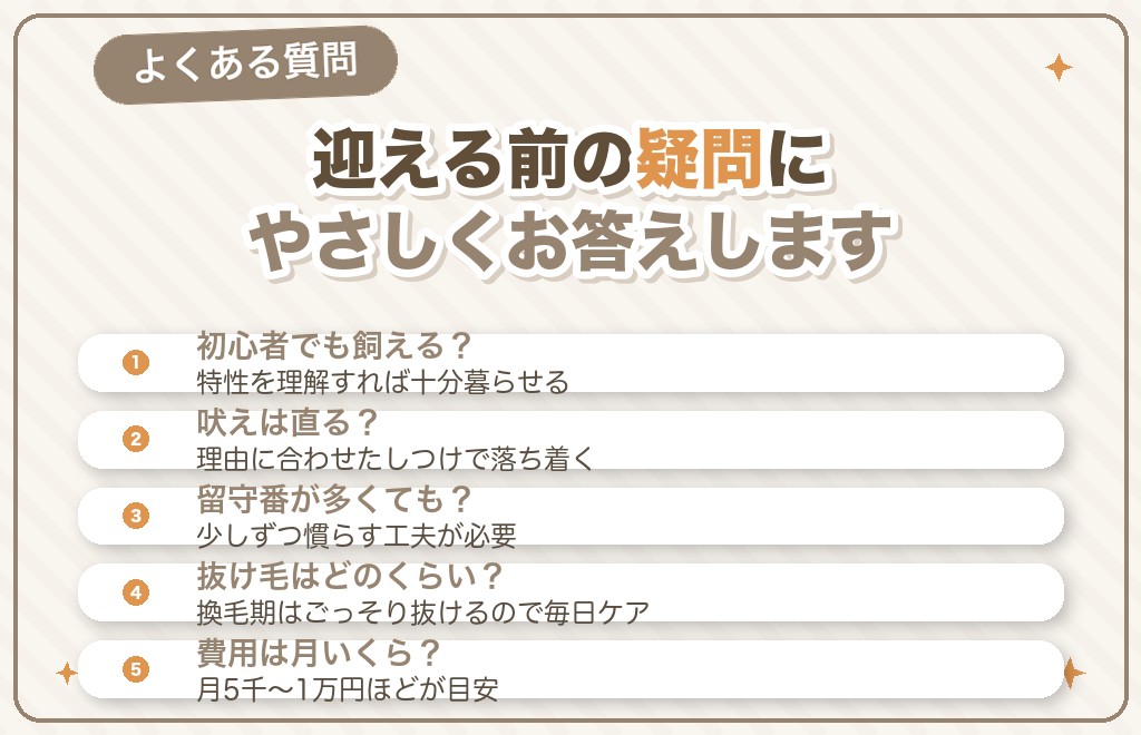 ポメラニアンを飼うんじゃなかったに関するQ&A