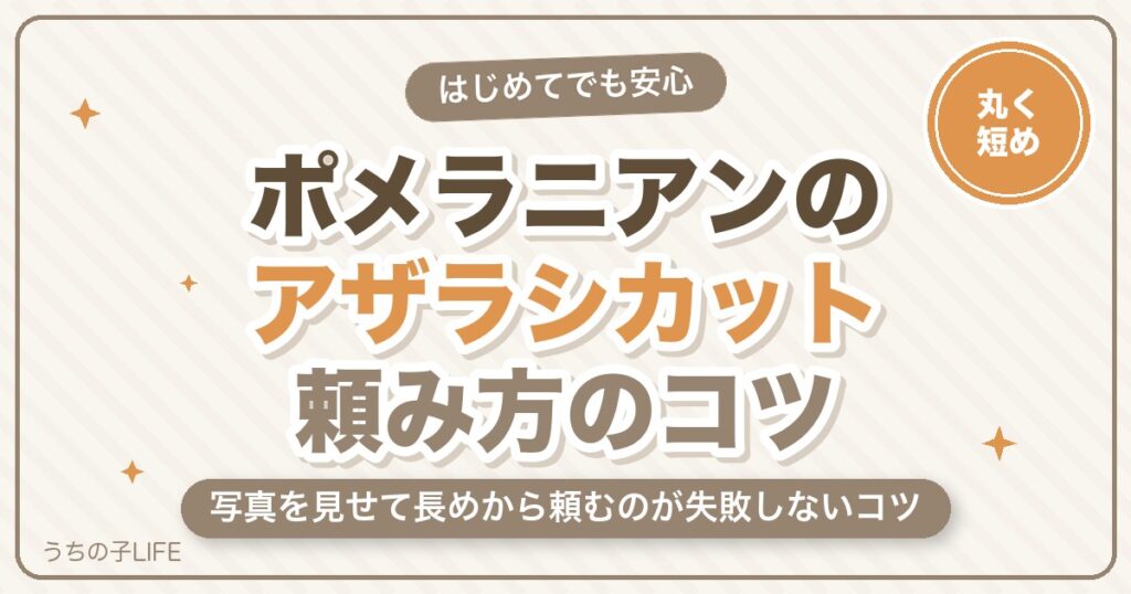 ポメラニアンのアザラシカットとは？頼み方・料金と失敗しないコツ