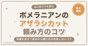 ポメラニアンのアザラシカットとは？頼み方・料金と失敗しないコツ