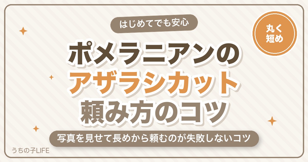 ポメラニアンのアザラシカットとは？頼み方・料金と失敗しないコツ